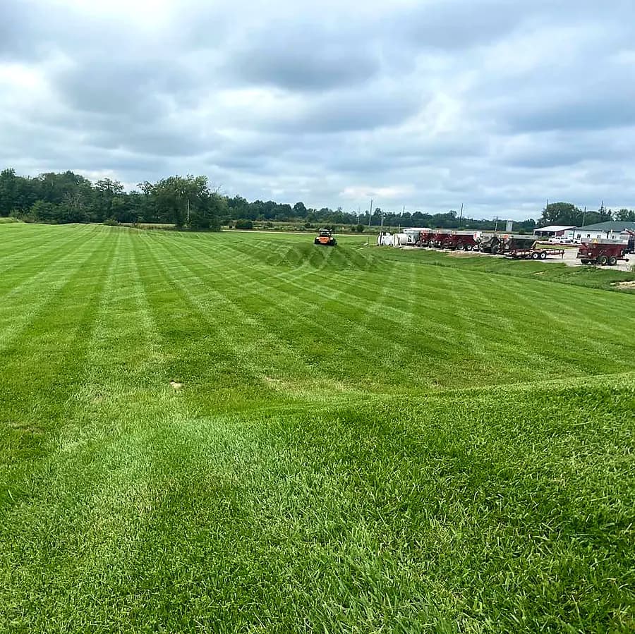 Mowing and trimming service