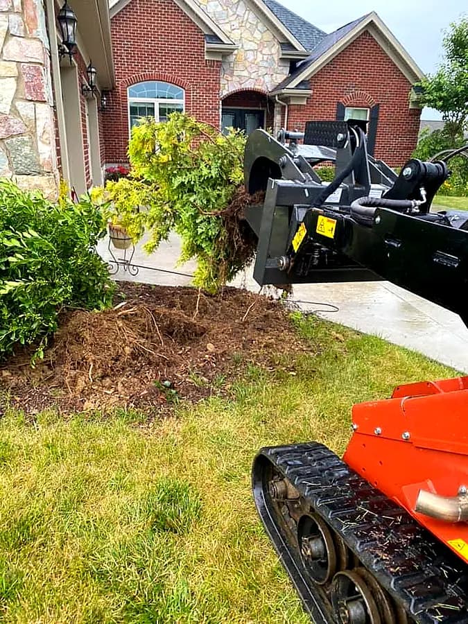 Professional mowing and edging