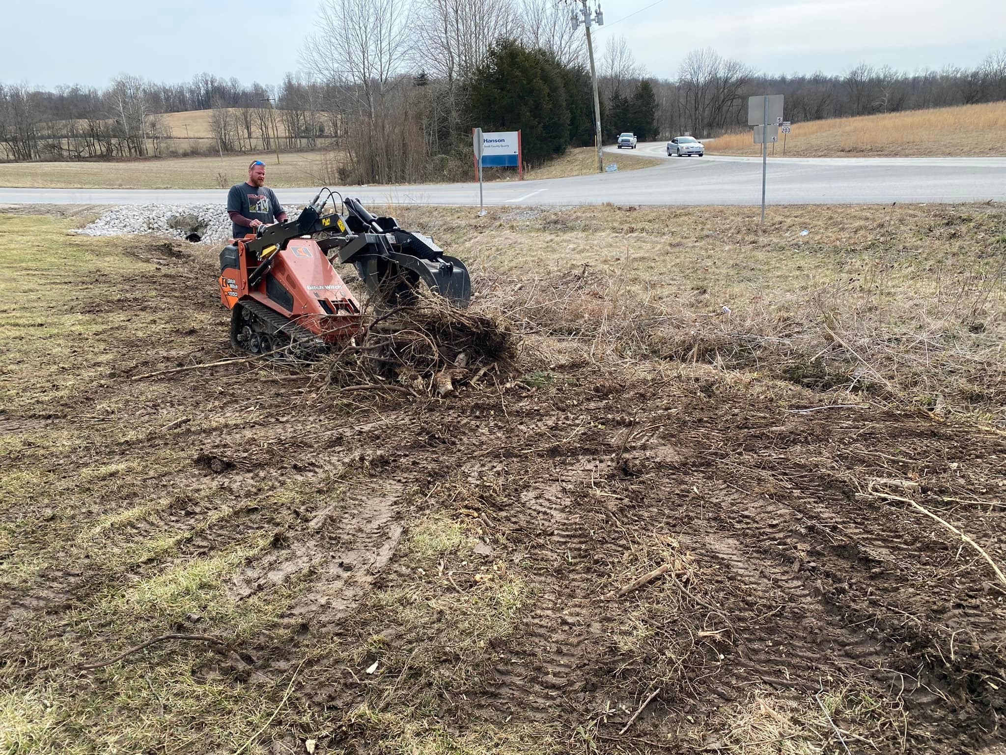 Tree removal and debris cleanup at a commercial property