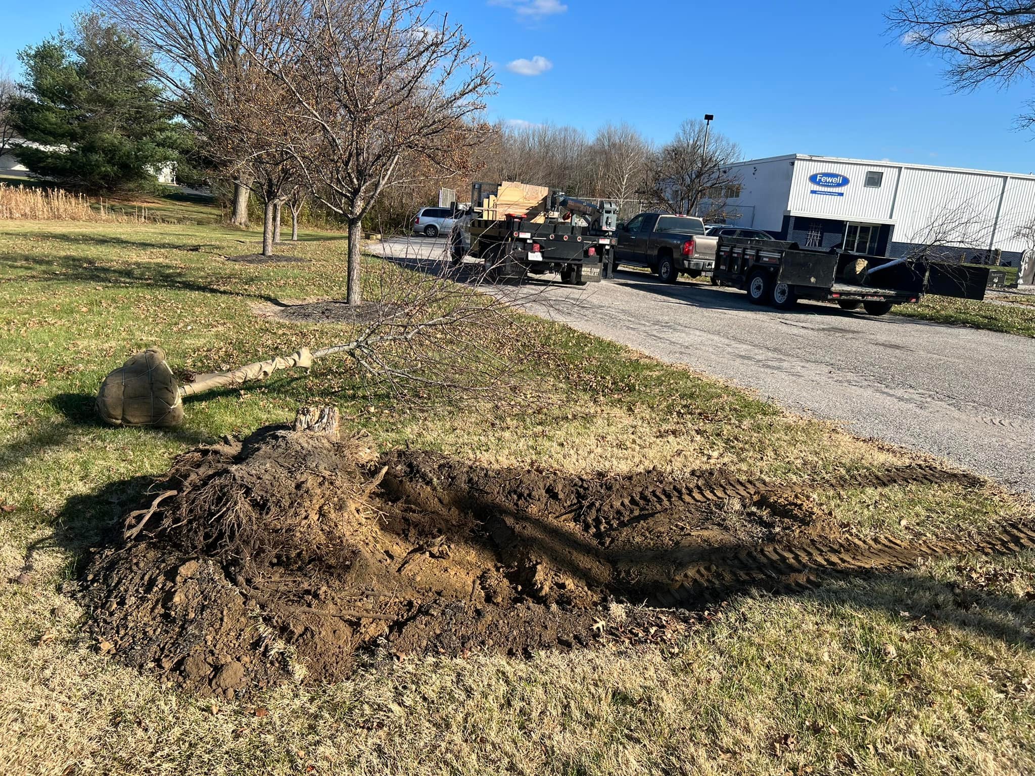 Tree removal project in Scott County, Indiana