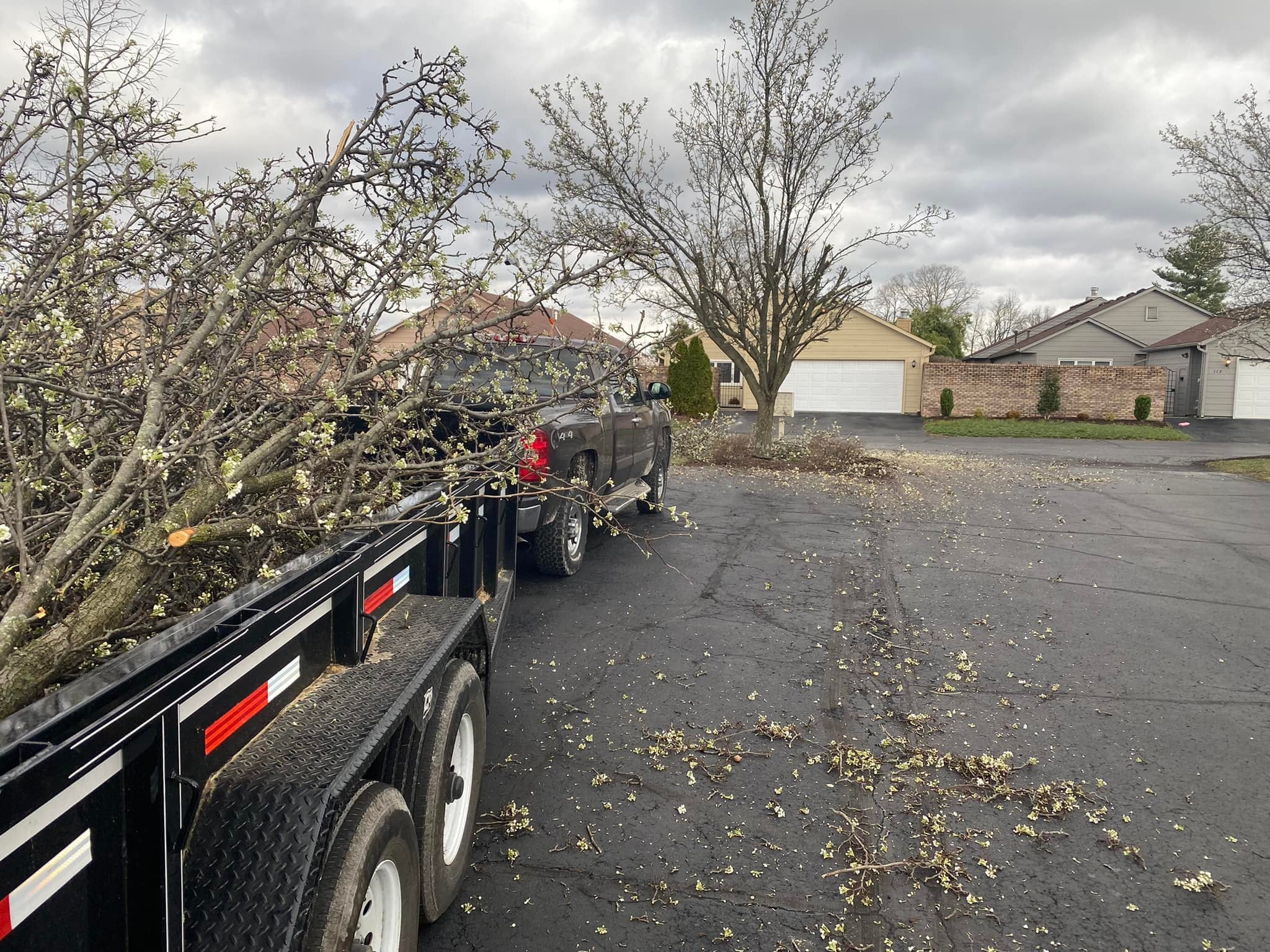 Professional tree trimming and removal service in Indiana